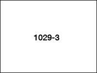 1029-3
